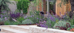 garden-steps-feature-wall-colourful-planting (1)